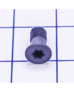 1613490007 Clamp Screw - Bosch