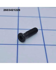 2603421229 Screw - Bosch