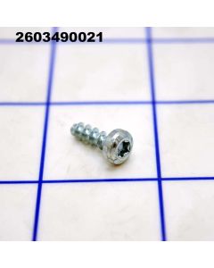 2603490021 Torx Oval-Head Screw - Bosch