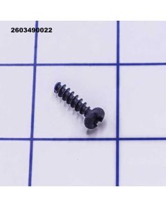 2603490022 Torx Oval-Head Screw - Bosch