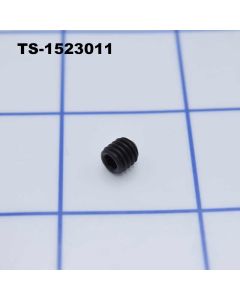 Jet SOCKET SET SCREW M6X6 TS-1523011