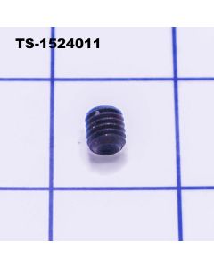 Jet SOCKET SET SCREW M8X8 TS-1524011