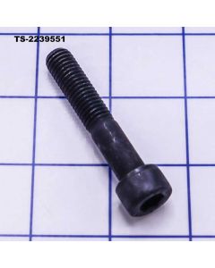 Jet SOCKET HD CAP SCREW, M10X55 TS-2239551