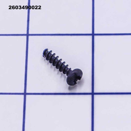 2603490022 Torx Oval-Head Screw - Bosch