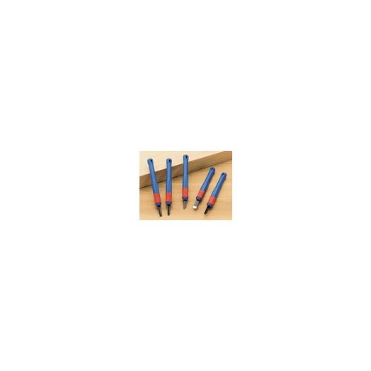 Woodstock International 5 Pc. Carving Chisel Set D2489