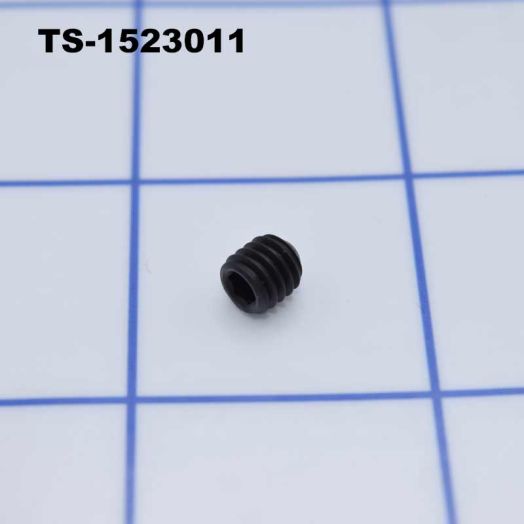 Jet SOCKET SET SCREW M6X6 TS-1523011